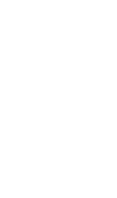 Premier League